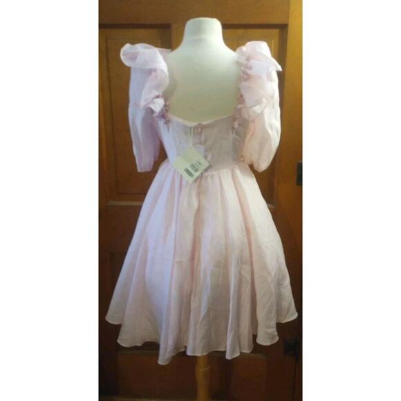 J.ING Taylor Swift Eras Tour Lover Dress Pink Mini Dress NWT Women Sz S Swifty - Picture 4 of 13